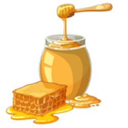 honey, jar, dipper, honeycomb, golden, sweet, syrup, nectar, bee, food, organic, natural, sugar, dessert, ingredient, yellow, glass, wooden, stick, healthy, liquid, viscous, dripping, snack, breakfast, nutrition, isolated